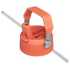 Flash Sale 🧨 Stanley The Wild Imagination IceFlow™ Flip Straw Water Bottle | 17 OZ 🥰 -SWEESE Salles B2B Web PNG The IceFlow Flip Straw Water Bottle 17oz Grapefruit Lid Straw Detail