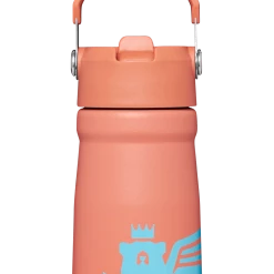 Flash Sale 🧨 Stanley The Wild Imagination IceFlow™ Flip Straw Water Bottle | 17 OZ 🥰